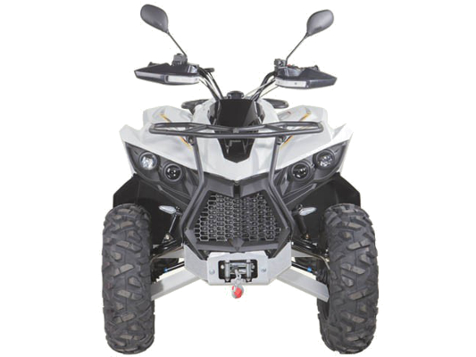 Фото квадроцикла Baltmotors MBX